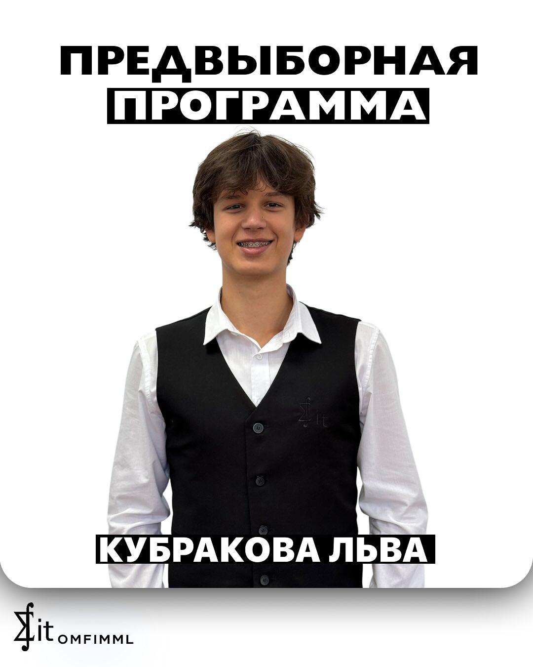 Предвыборная программа
