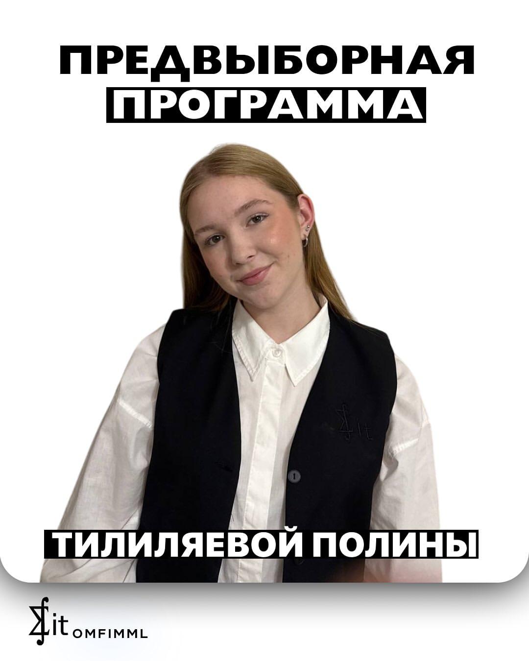 Предвыборная программа